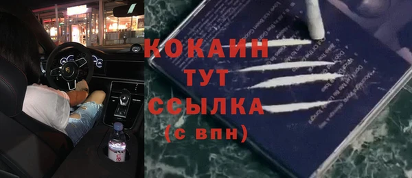 дмт Богданович