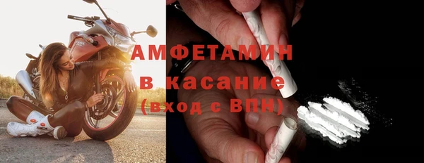 дмт Богданович
