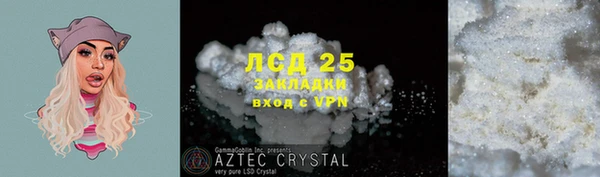 дмт Богданович