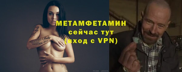 прущие грибы Богородск