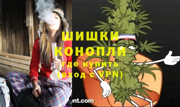 mdpv Няндома