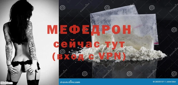 дмт Богданович