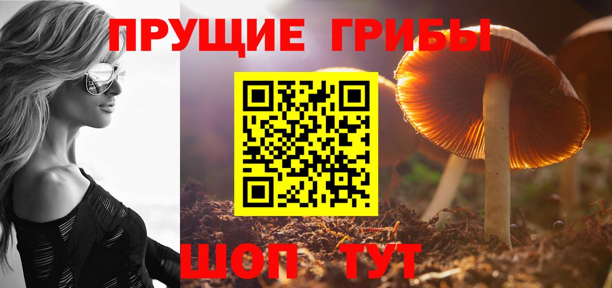 Тамбов  купить закладку  Вход с VPN  Галлюциногенные грибы MAGIC MUSHROOMS  Галлюциногенные грибы Magic Shrooms 